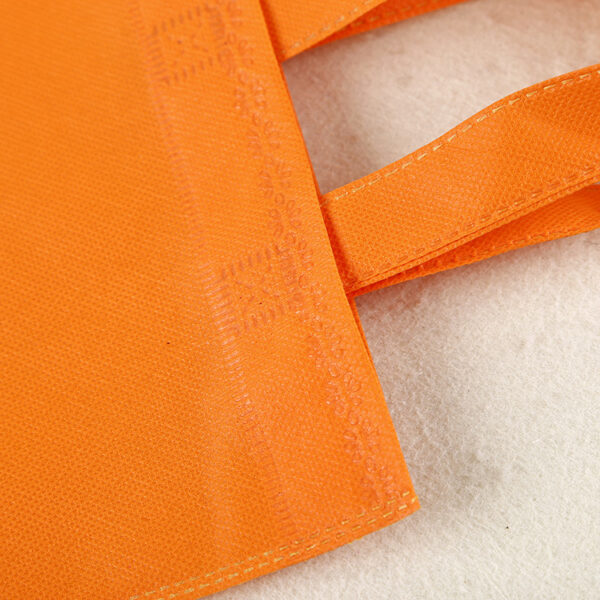 Non-Woven Candy Party Gift Bags - Plain & Cute - Image 6