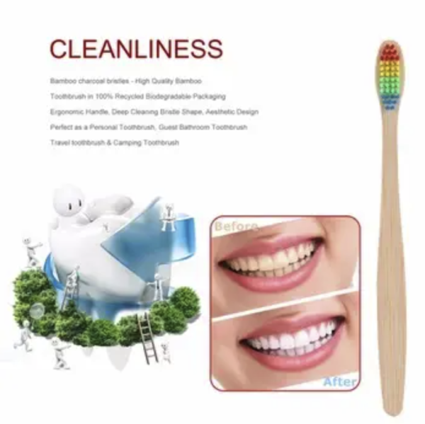 Nylon Brush Head Toothbrush - Reusable, Rainbow, Biodegradable Bamboo - Image 8