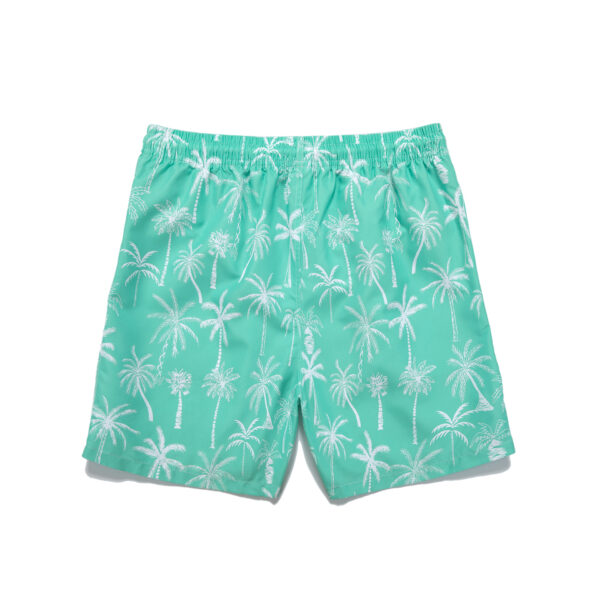 Men's Quick-Dry Beach & Swim Shorts - Image 2