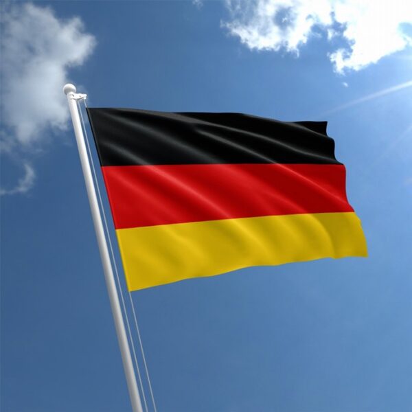 Custom National Flag Professional Flag Manufacturer Blank Flags & Banners - Image 4