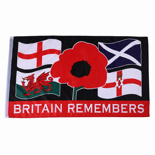 Custom National Flag Professional Flag Manufacturer Blank Flags & Banners - Image 3