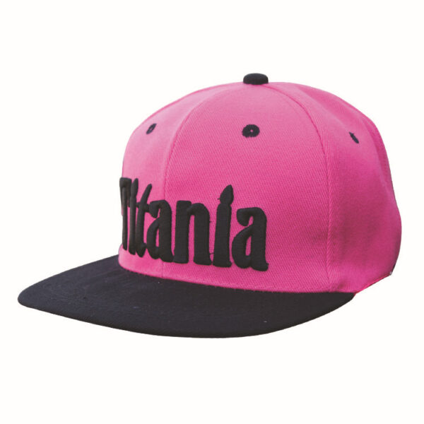 Custom Logo Embroidery Snapback Cap Snapback Flat Hat - Image 8