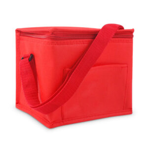 Picnic Cooler Insulated Bag Lunch Thermal Tote Bag