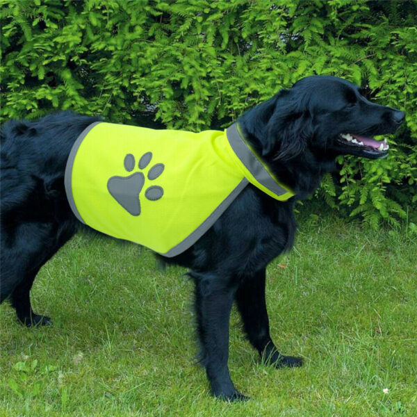 Safety DOG Reflective Vest Dog Clothes Jacket Coat - Image 7