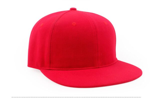 Custom Logo Embroidery Snapback Cap Snapback Flat Hat - Image 9