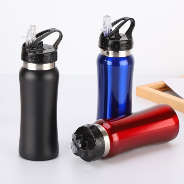 Wholesale Double Wall Stainless Steel Sipper Bottles - Image 3