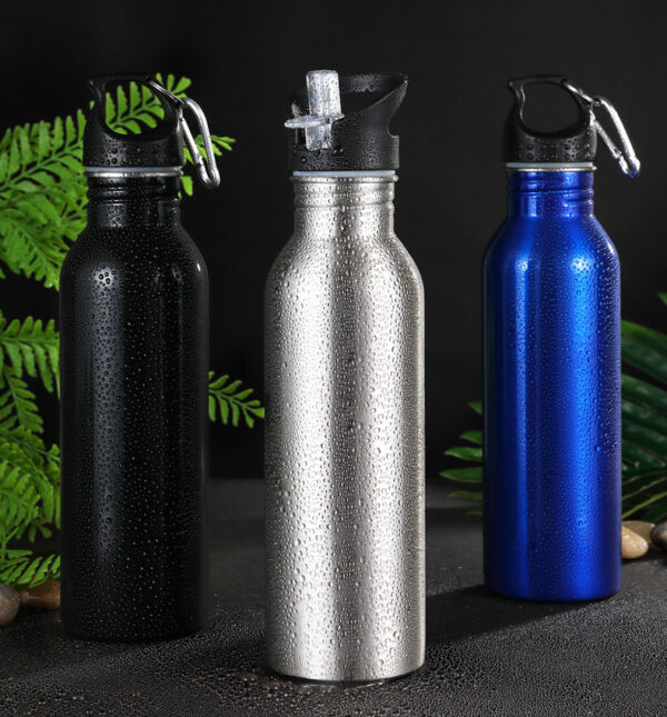 New Arrival Iron Flask Sports Water Bottles - Custom Logo - Image 7