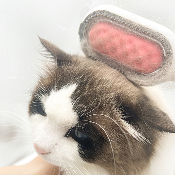 Manufacturer Wholesale Pet Grooming Wide Brush Double_Yyth - Image 2