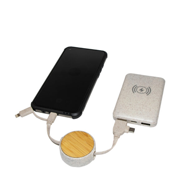 Eco-Friendly Telescopic Multi-Functional Data Cable - Image 4