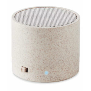 S10 Bluetooth Speaker: Mini, Portable, Bass Boosted
