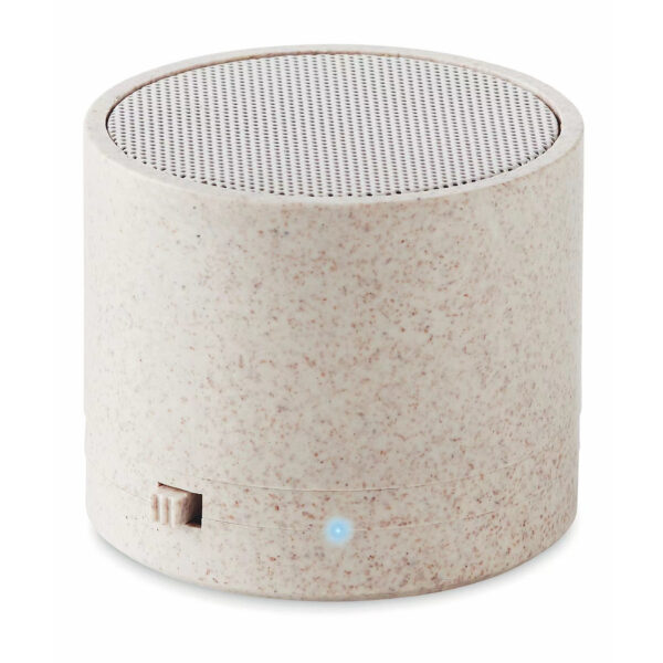 S10 Bluetooth Speaker: Mini, Portable, Bass Boosted