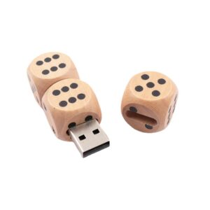 Wooden Dice USB Drive | Creative Teacher & Student Gift