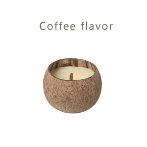 Coconut Shell Scented Candle: Creative Aromatherapy