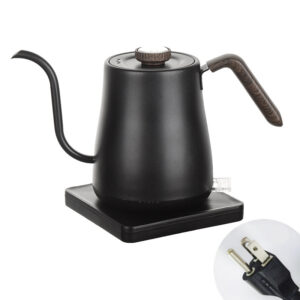 Electric Kettle with Precision Spout - Titanium