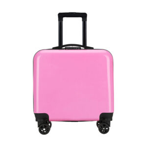 Children's Luggage Mini Suitcase - School Travel Case