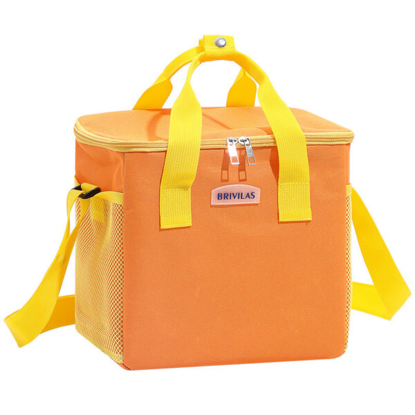 Freezable Insulated Lunch Cooler Bags - Image 4