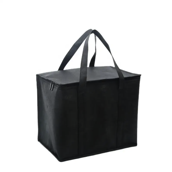 Collapsible Insulated Picnic Cooler Bags