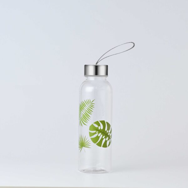 BPA-Free Custom Borosilicate Glass Water Bottles - Image 3