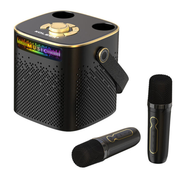 Wireless Microphone Karaoke Speakers - HIFI Sound, DJ Party - Image 4