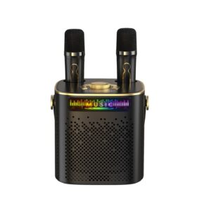 Wireless Microphone Karaoke Speakers - HIFI Sound, DJ Party