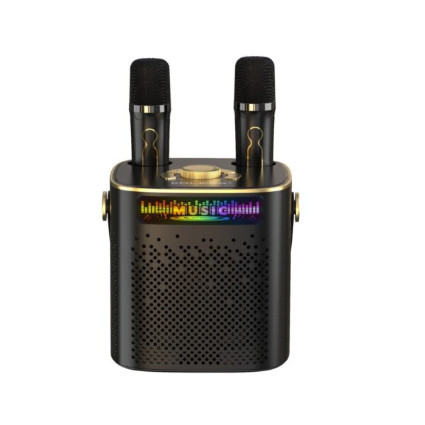 Wireless Microphone Karaoke Speakers - HIFI Sound, DJ Party