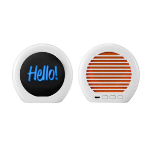 Outdoor Waterproof BT Speaker - RGB Light, Custom Logo